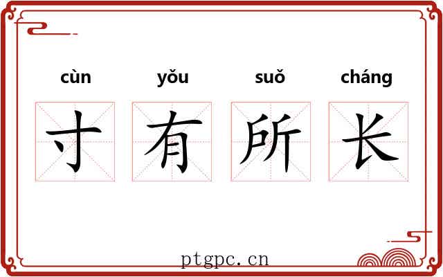 寸有所长