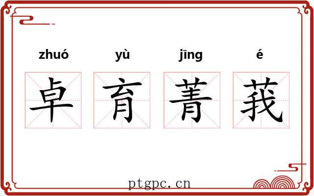 卓育菁莪