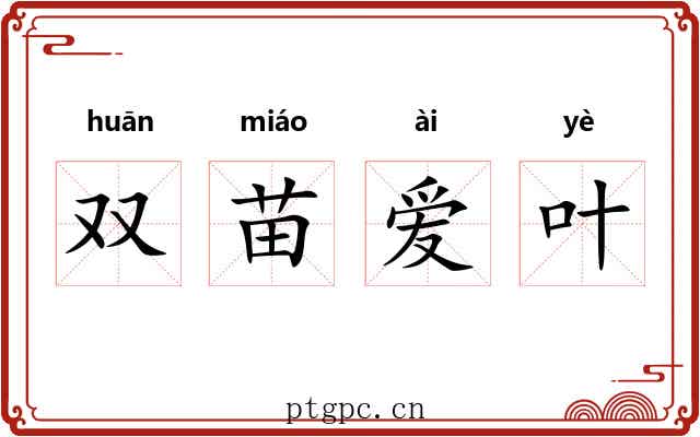 双苗爱叶