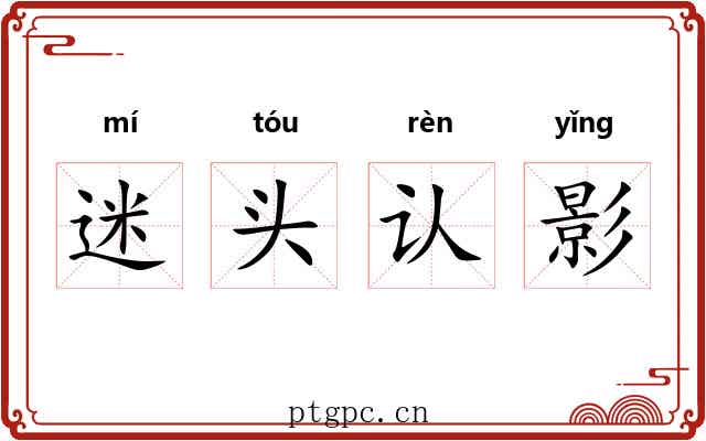 迷头认影