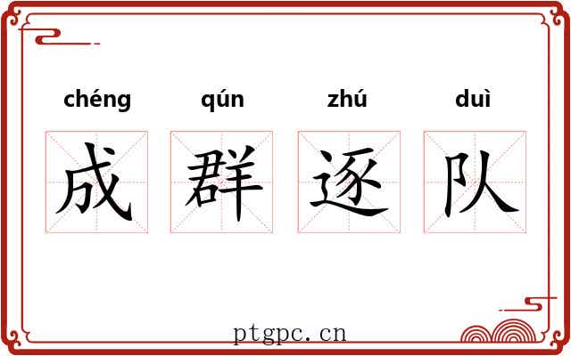 成群逐队