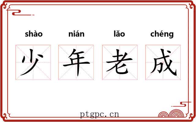 少年老成