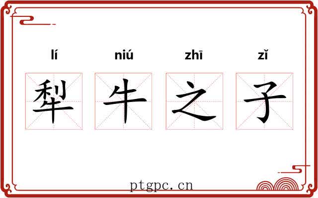 犁牛之子