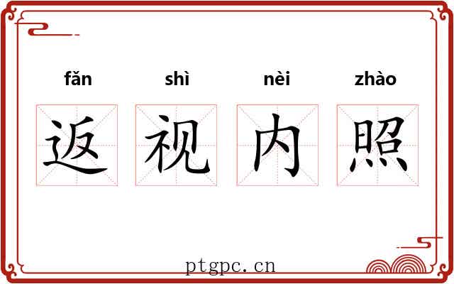 返视内照