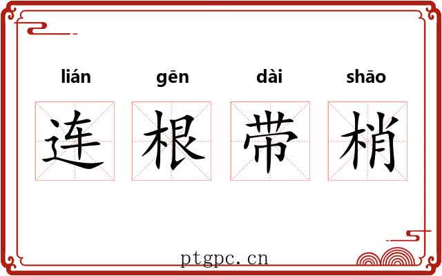 连根带梢