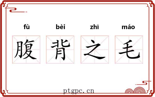 腹背之毛