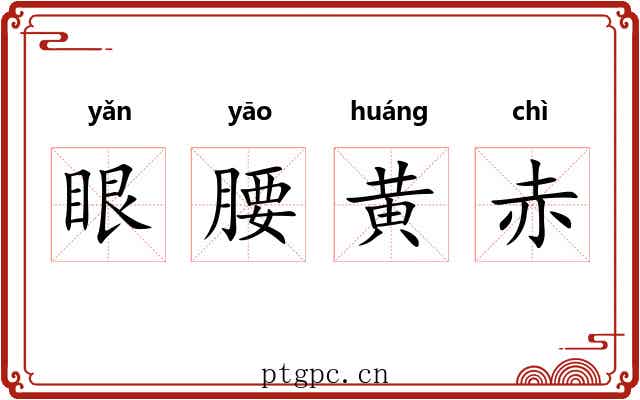 眼腰黄赤