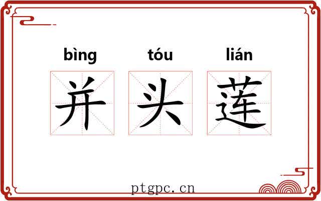 并头莲