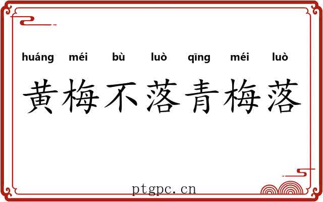 黄梅不落青梅落