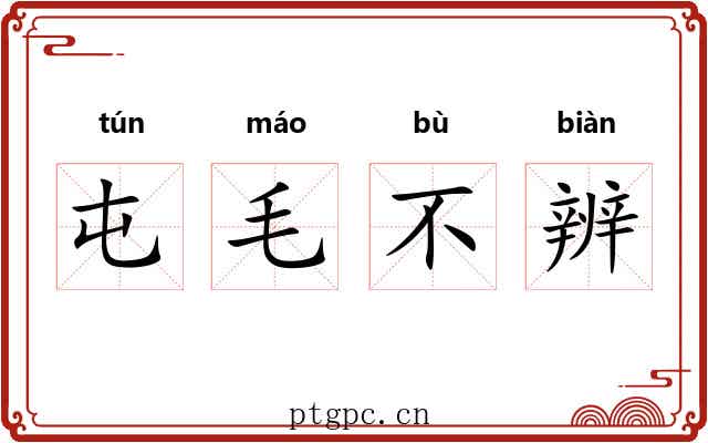 屯毛不辨