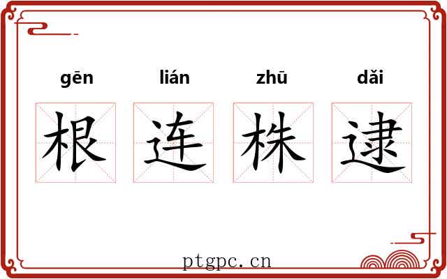 根连株逮