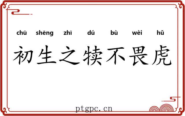 初生之犊不畏虎