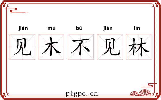 见木不见林