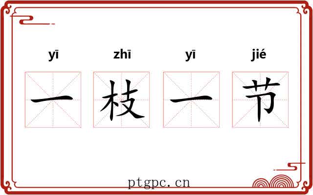 一枝一节