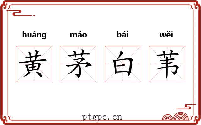 黄茅白苇