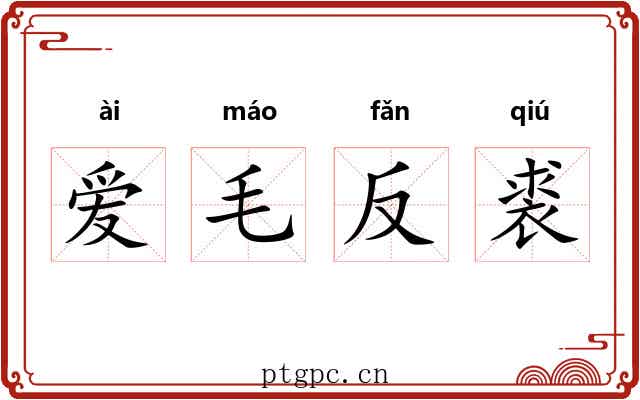 爱毛反裘