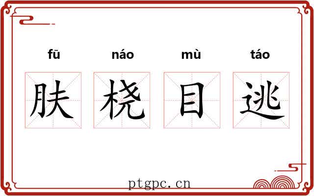 肤桡目逃