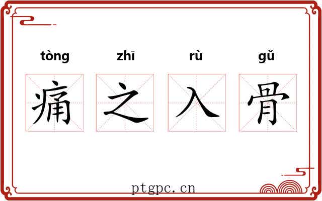痛之入骨