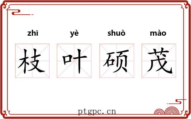枝叶硕茂