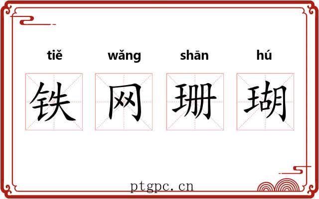 铁网珊瑚