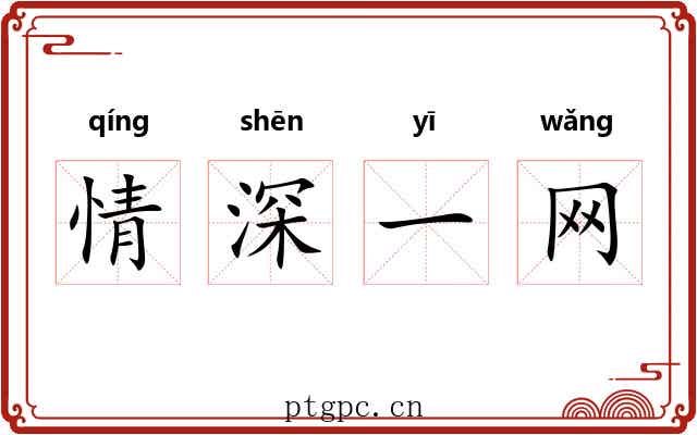 情深一网