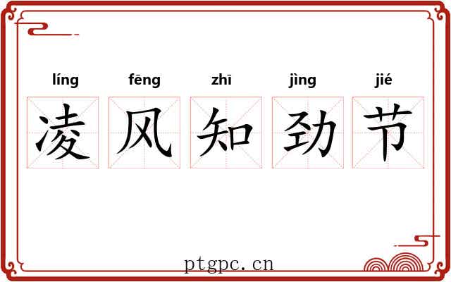 凌风知劲节
