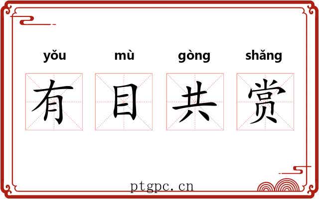 有目共赏