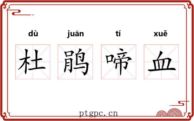 杜鹃啼血