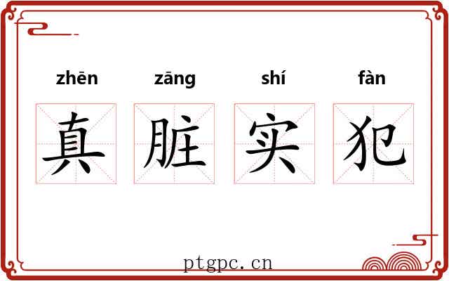 真脏实犯