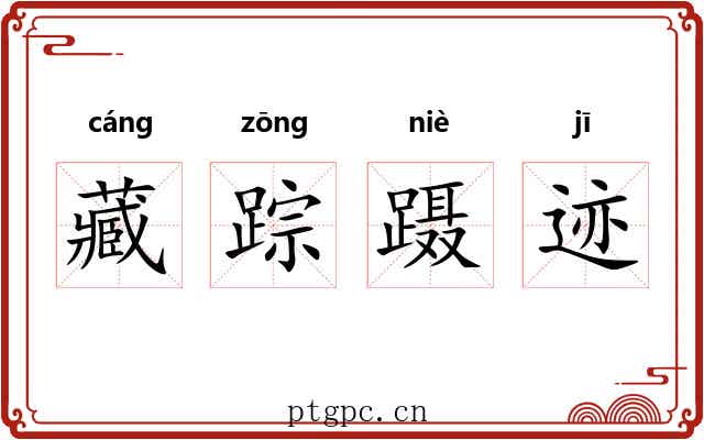 藏踪蹑迹