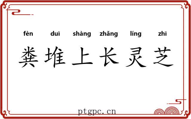 粪堆上长灵芝