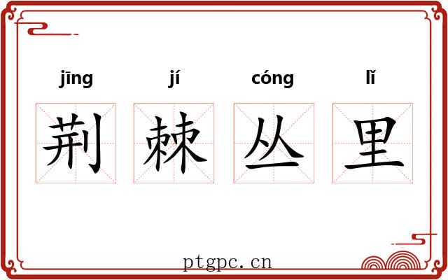荆棘丛里