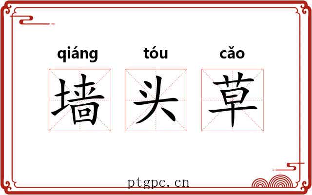 墙头草