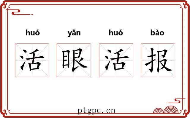 活眼活报