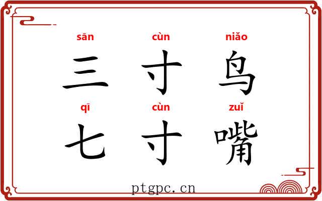 三寸鸟，七寸嘴