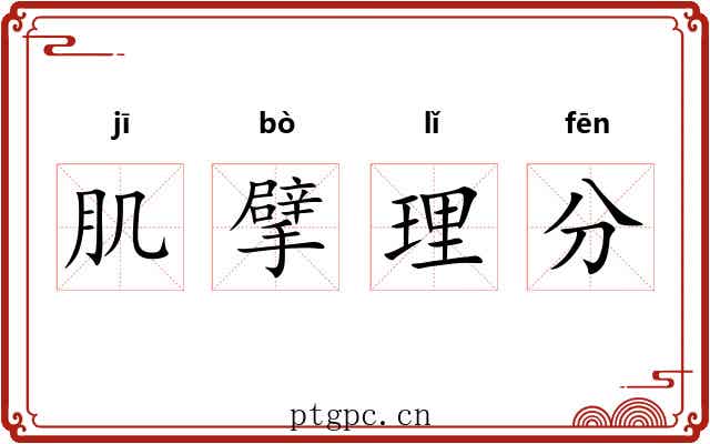 肌擘理分