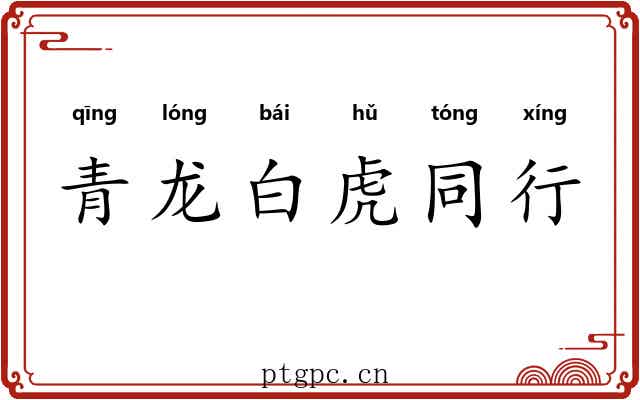 青龙白虎同行