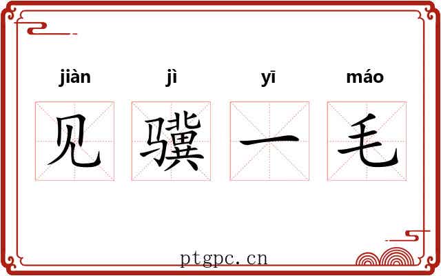 见骥一毛