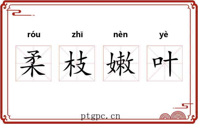 柔枝嫩叶