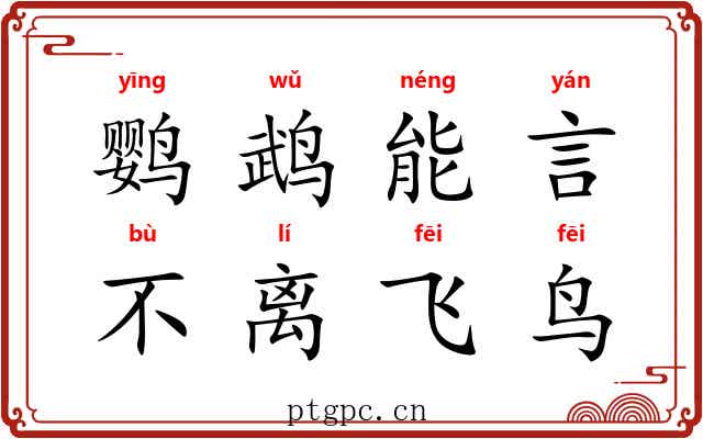 鹦鹉能言，不离飞鸟