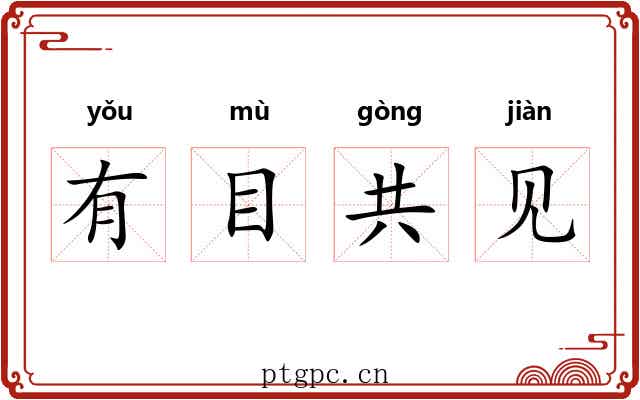 有目共见