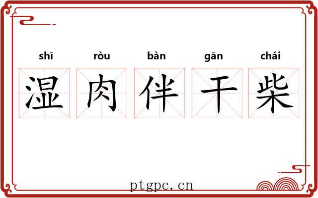 湿肉伴干柴