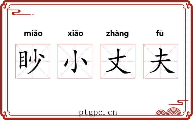 眇小丈夫