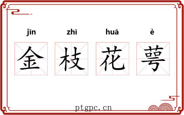 金枝花萼