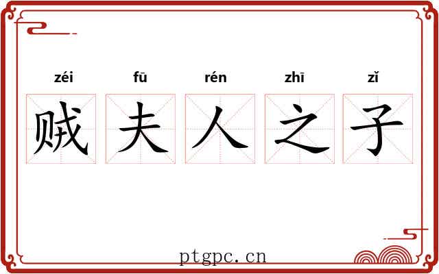 贼夫人之子