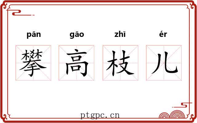 攀高枝儿