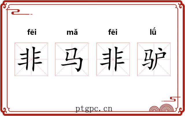 非马非驴