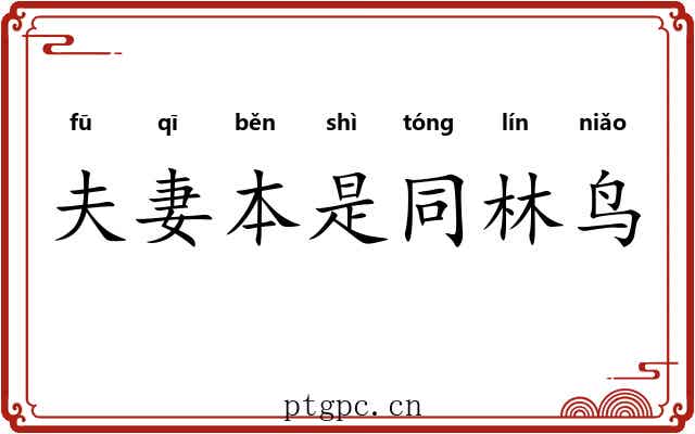 夫妻本是同林鸟