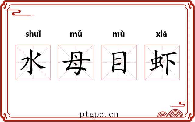 水母目虾
