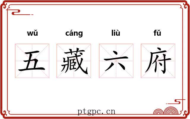 五藏六府